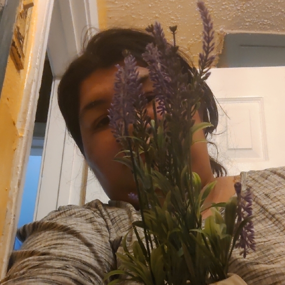 Fake Plants - Picture 5 of 6